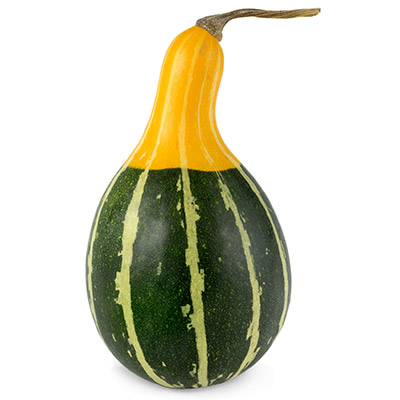 gourd of travel magic items homebrew d d beyond