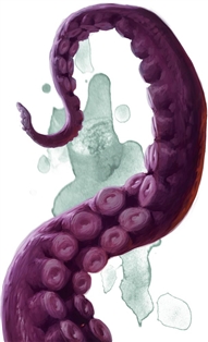 Giant Octopus